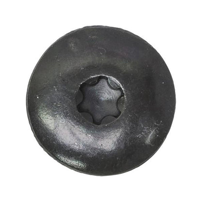 Torx Large Head Bumper Bolts M6x20mm Ø19mm Head Black Pack of 20