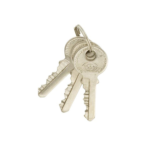 Brass Padlock Long Shackle 38mm Hardened Steel Clasp Supplied With 3 Keys Pack of 2